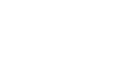 Flux Academy logo